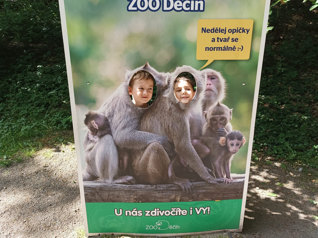 3.jpeg