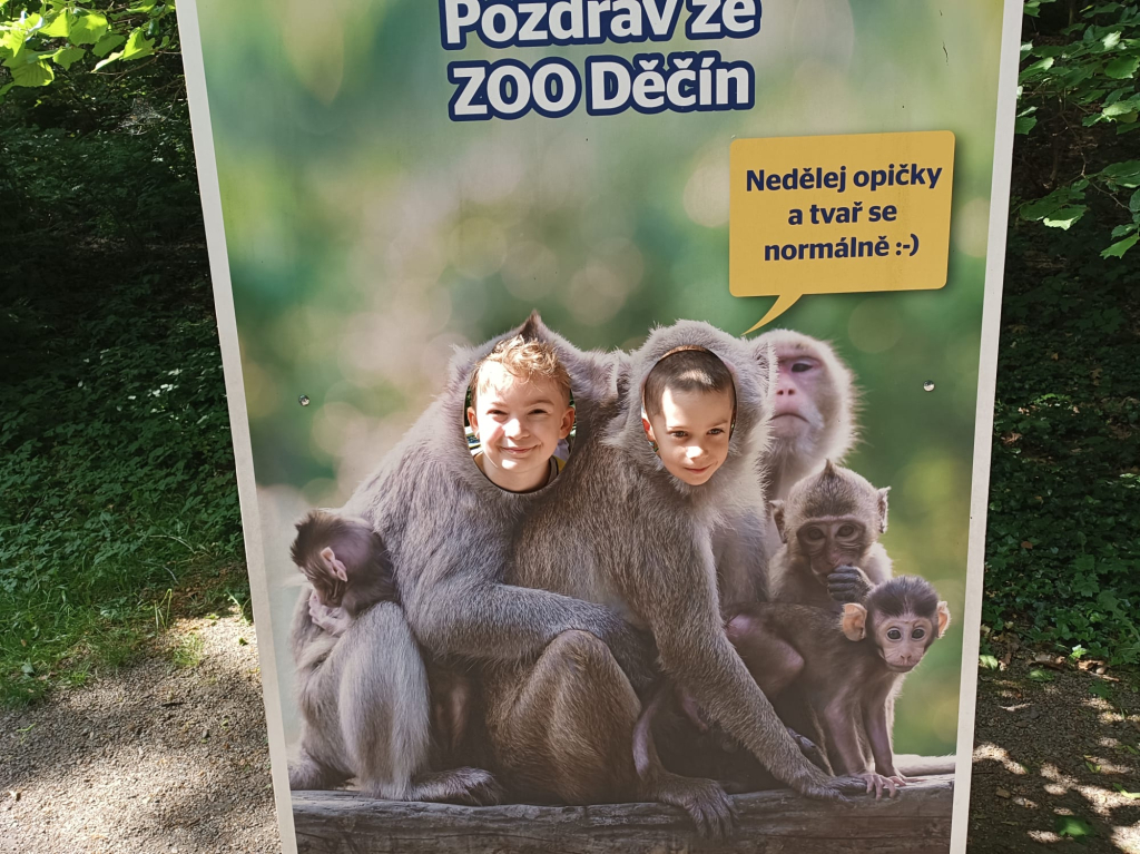 6.jpeg