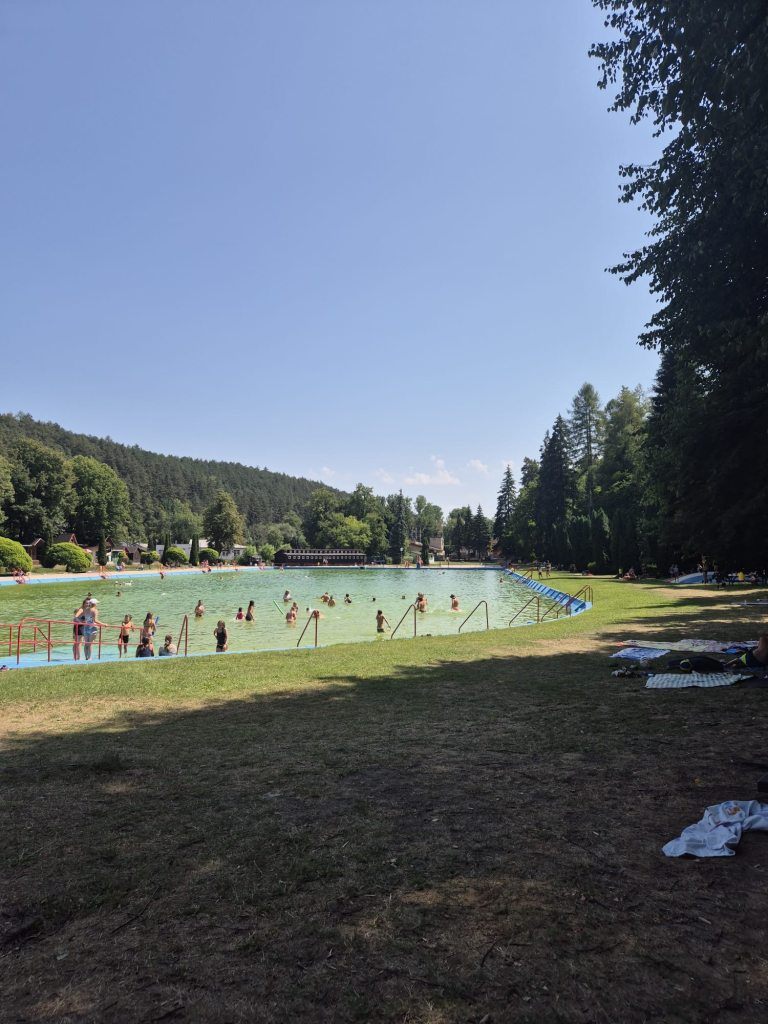 91.jpg