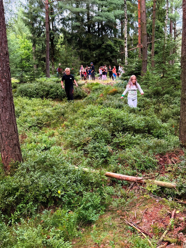 152.jpg