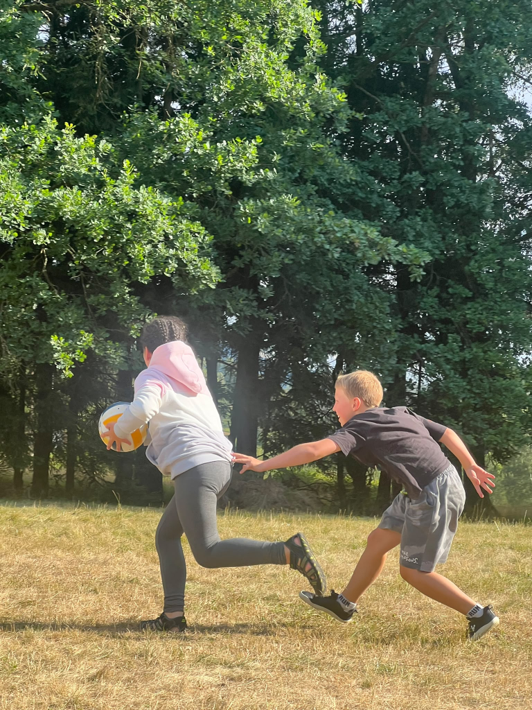 222.jpg