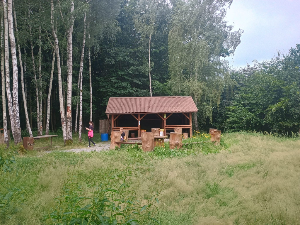 81.JPG