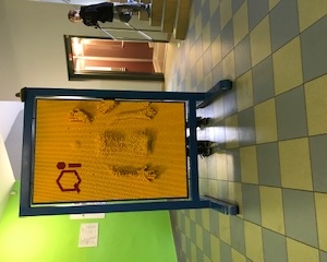 89.jpg