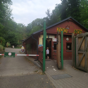 17.JPG
