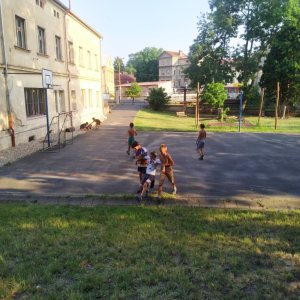 87.jpg