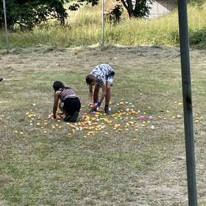 64.jpg