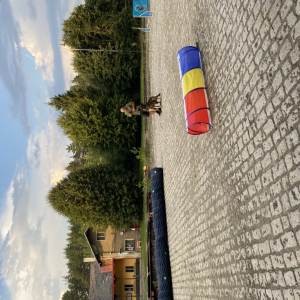 792.jpg