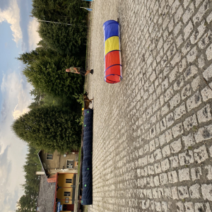 796.jpg