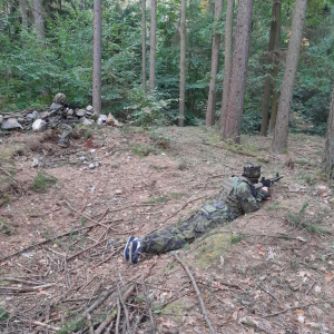 40.JPG