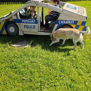 4.JPG