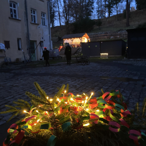 117.jpg