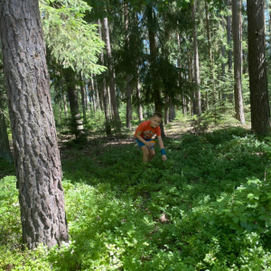 77.JPG