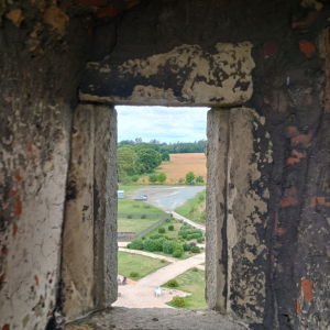 317.jpg