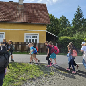 115.JPG