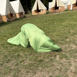 685.jpg