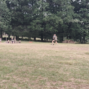 438.jpg