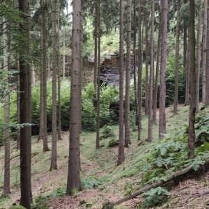 56.jpg