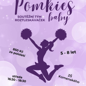 pomkies baby.jpg