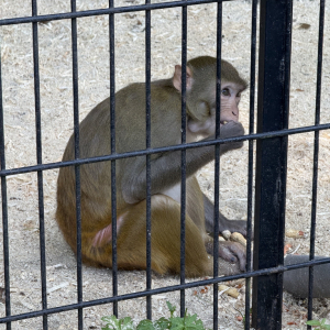 165.jpg