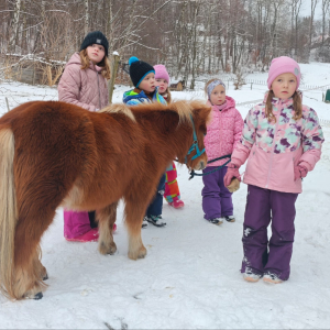 Únor 2026 - Pony klub