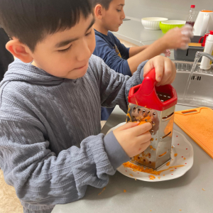 Únor 2026 - Veselé kuchtění